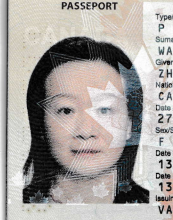 ZHENYI WANG.png